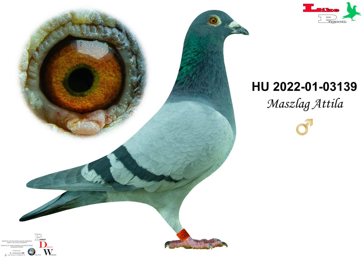 HU-2022-01-03139 Maszlag Attila
