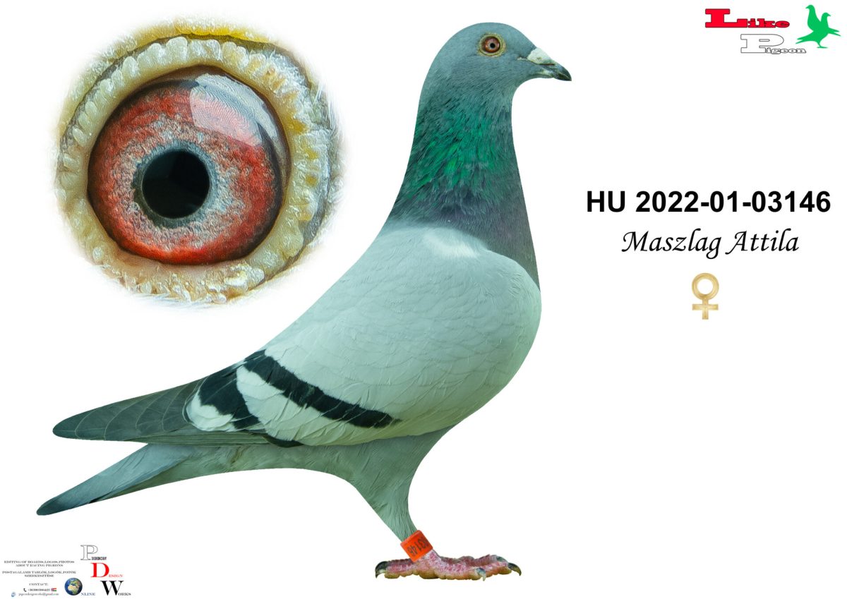 HU-2022-01-03146 Maszlag Attila