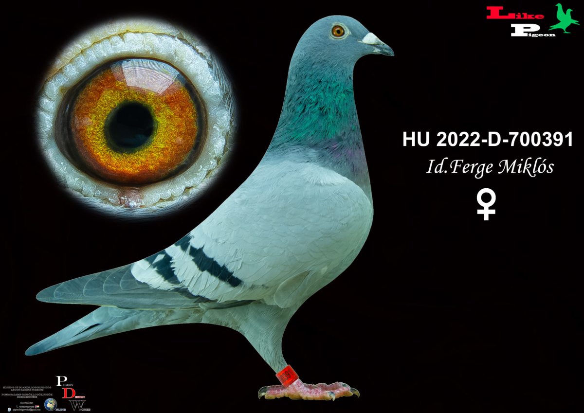HU-2022-D-700391