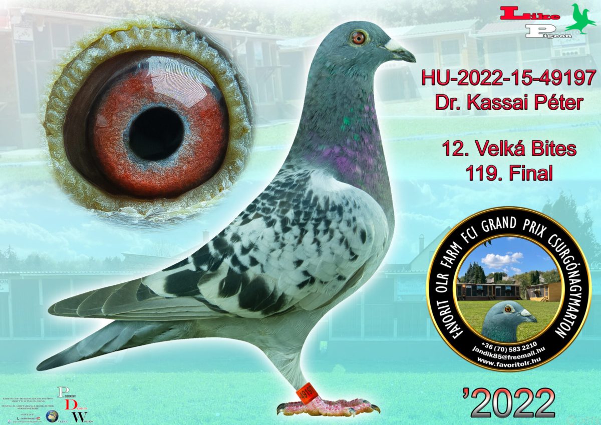 HU-2022-15-49197 Dr. Kassai Péter