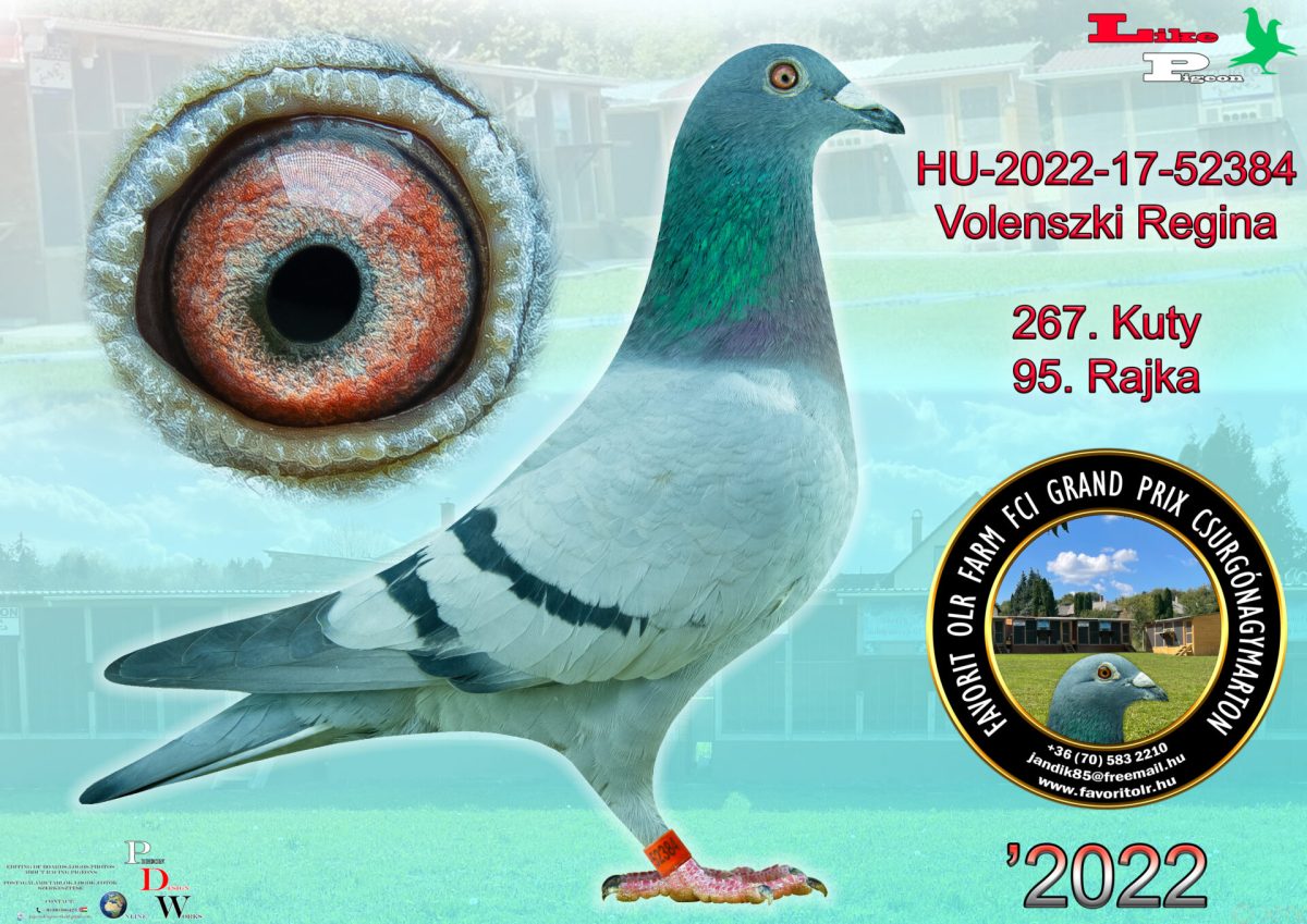 HU-2022-17-52384 Volenszki Regina