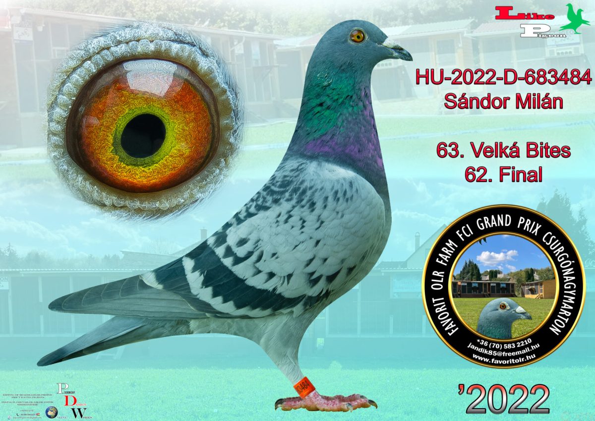 HU-2022-D-683484 Sándor Milán