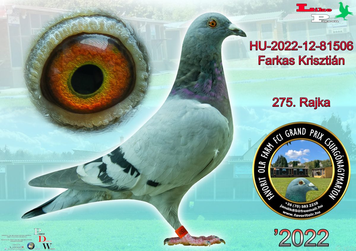 HU-2022-12-81506 Farkas Krisztián