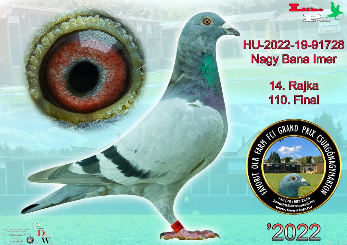 HU-2022-19-91728 Nagy- Bana Imér