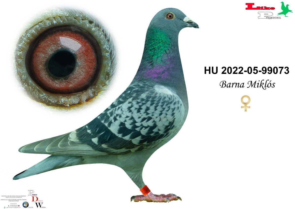 HU-2022-05-99073 Barna Miklós