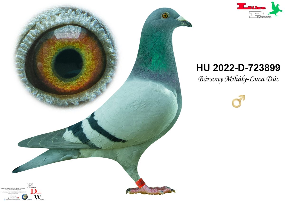 HU-2022-D-723899 Bársony Mihály - Luca Dúc