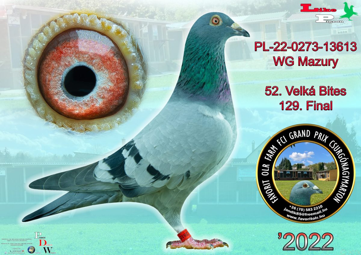 PL-22-0273-13613 WG Mazury