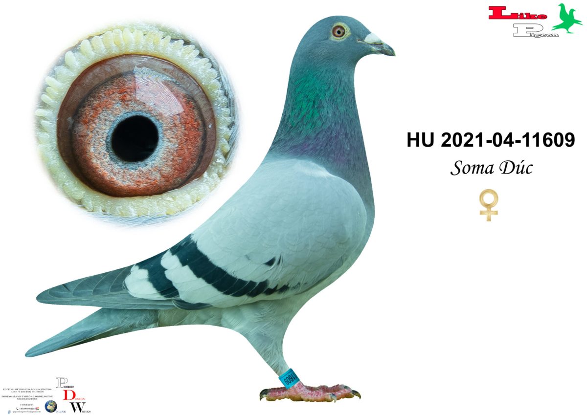 HU-2021-04-11609 Soma Dúc