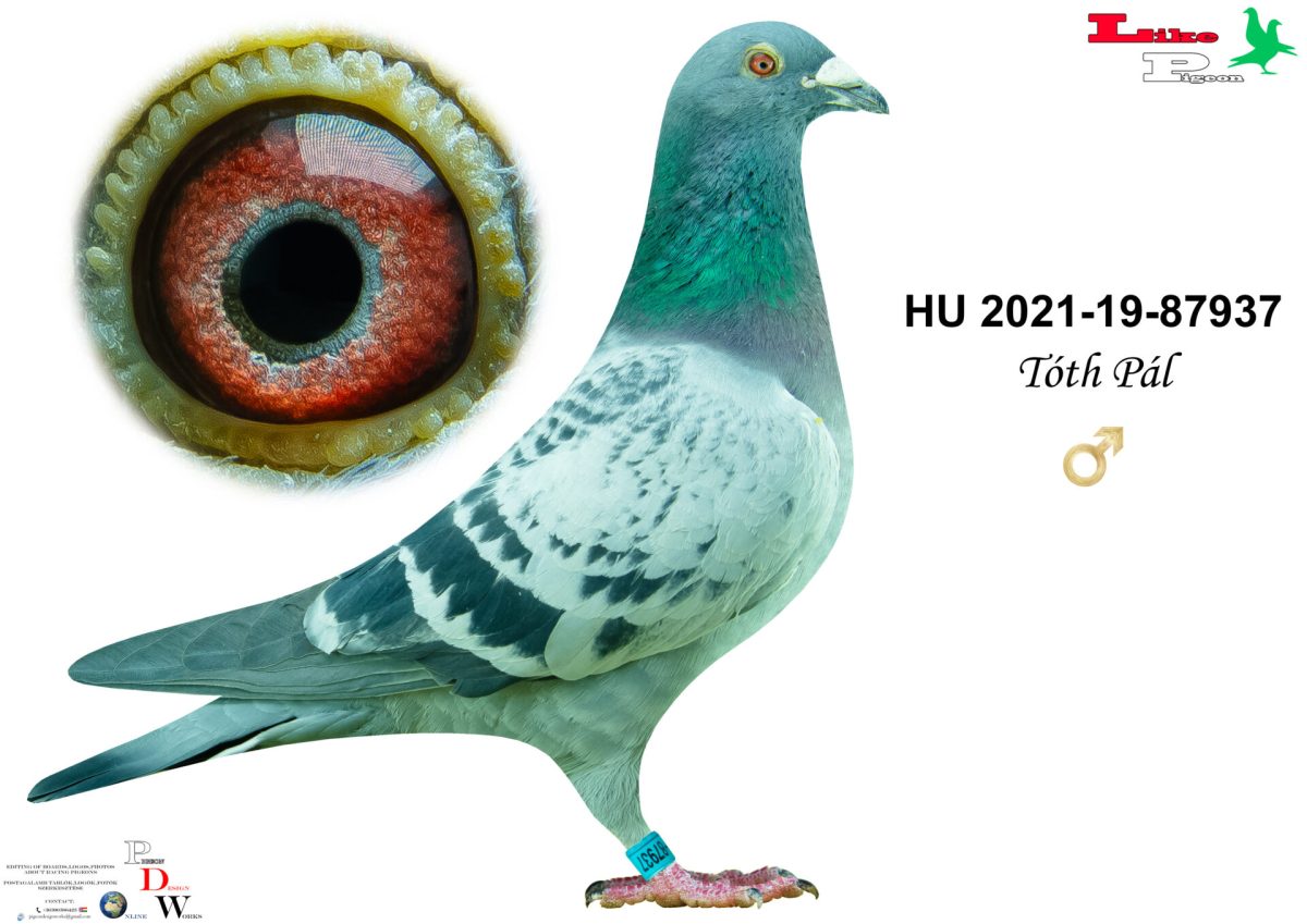 Hu-2021-91937 H Tóth Team