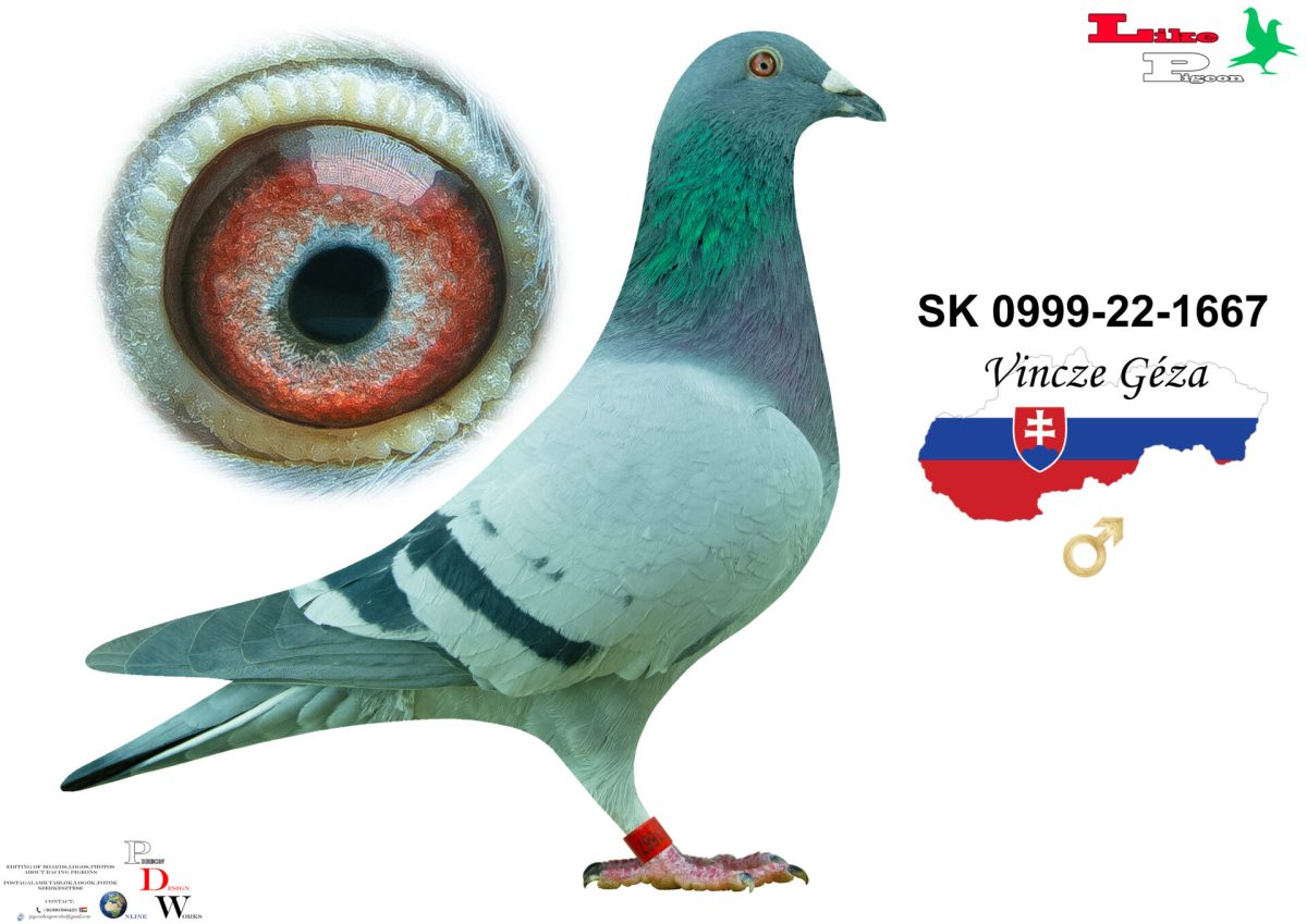 Sk-0999-22-1667 H Vincze Géza
