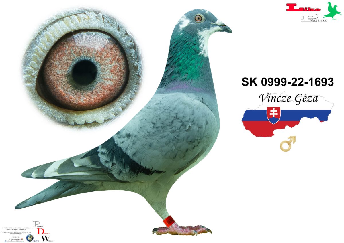 SK-0999-22-1693 H Vincze Géza