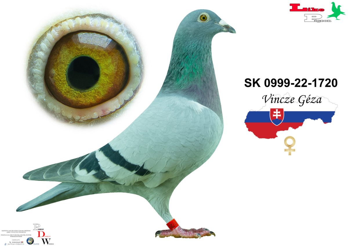Sk-0999-22-1720 T Vincze Géza