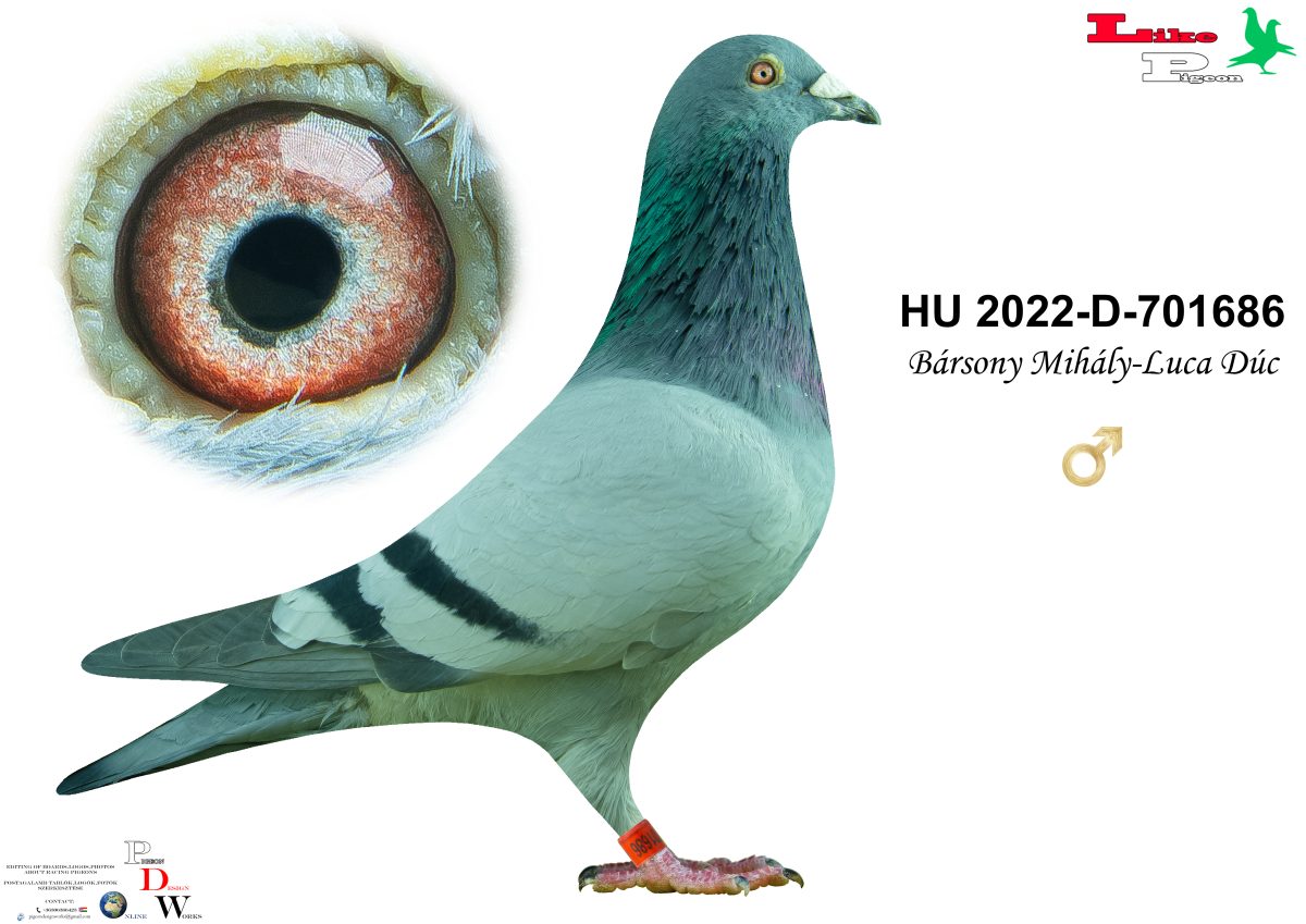 HU-2022-D-701686 Bársony Mihály - Luca Dúc