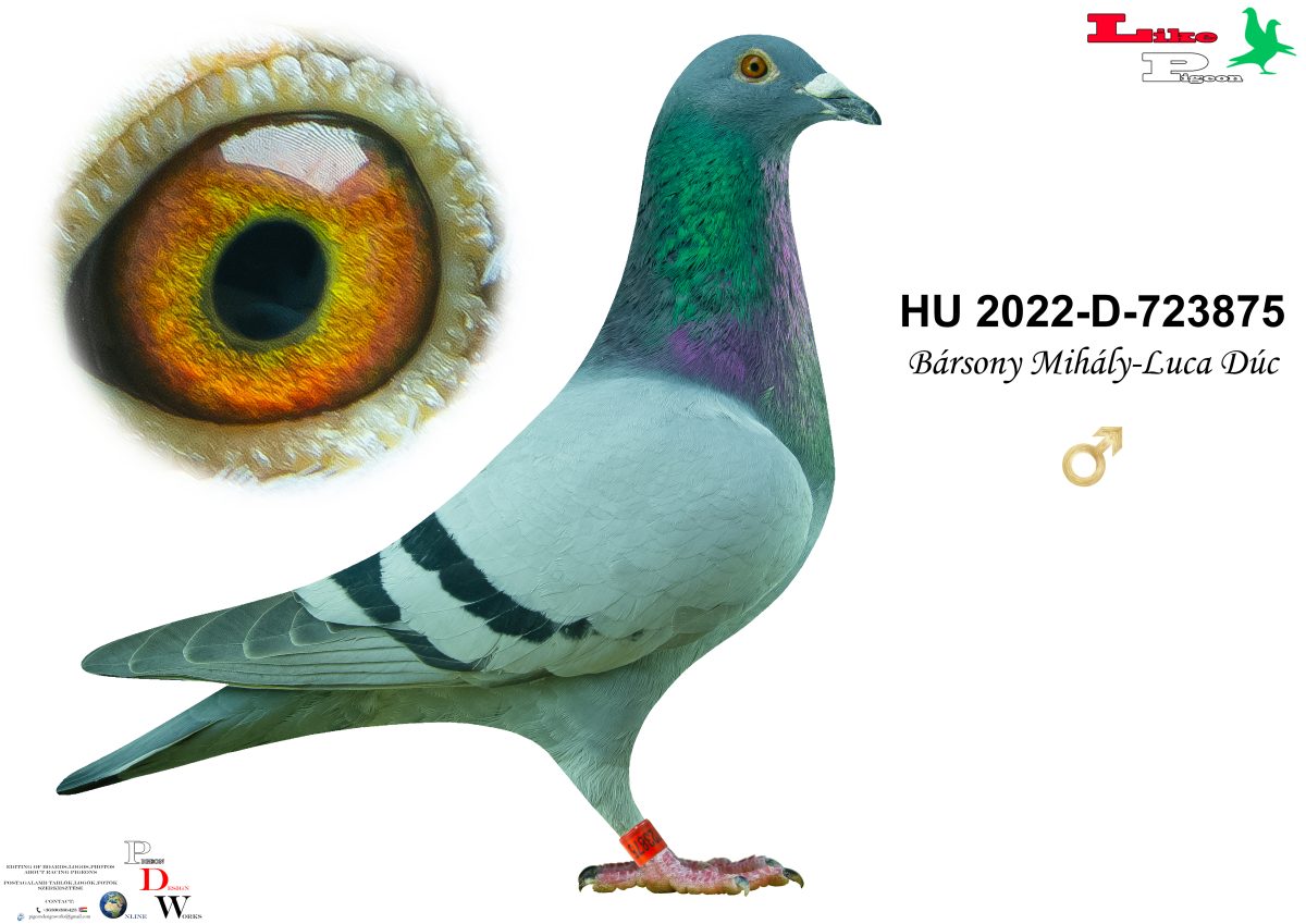HU-2022-D-723875 Bársony Mihály - Luca Dúc