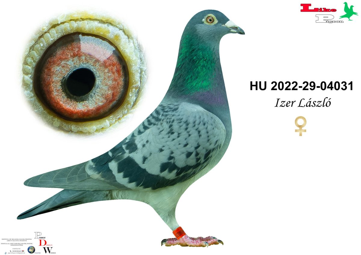 HU-2022-29-04031 Izer László