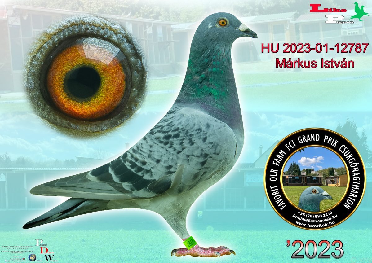 Márkus István HU-2023-01-12787
