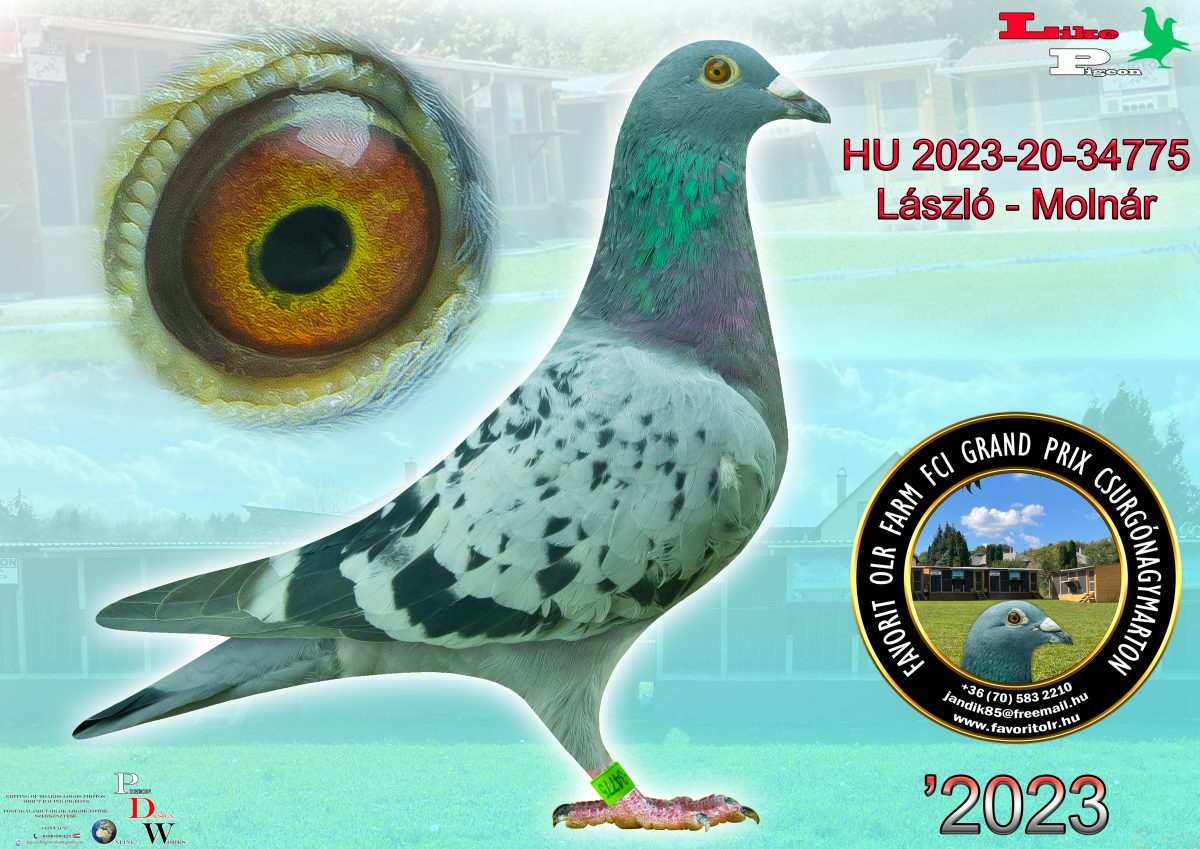 László - Molnár HU-2023-20-34775