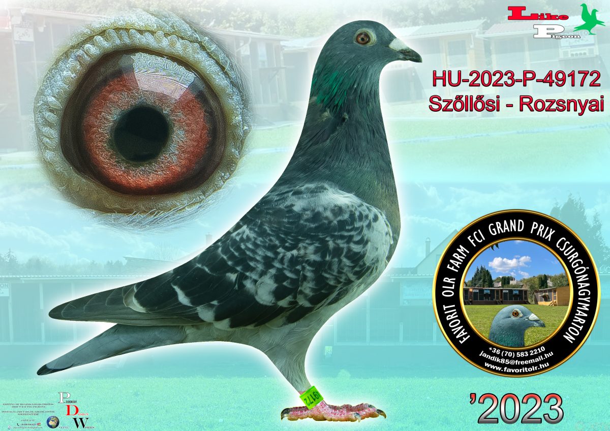 Szőllősi - Rozsnyai HU-2023-P-49172