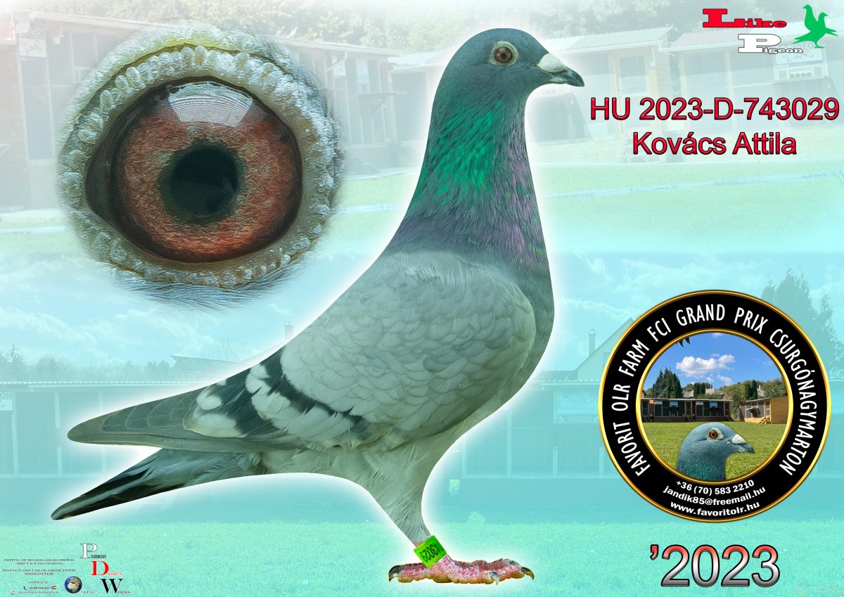 Kovács Attila HU-2023-D-743029