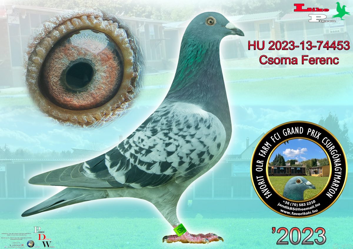 Csorna Ferenc HU-2023-13-74453