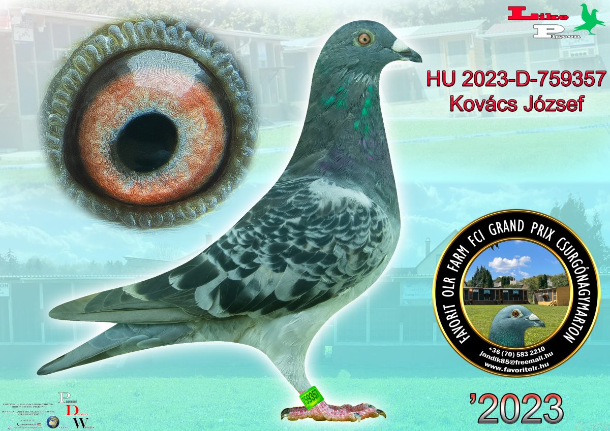 Kovács József HU2023-D-759357