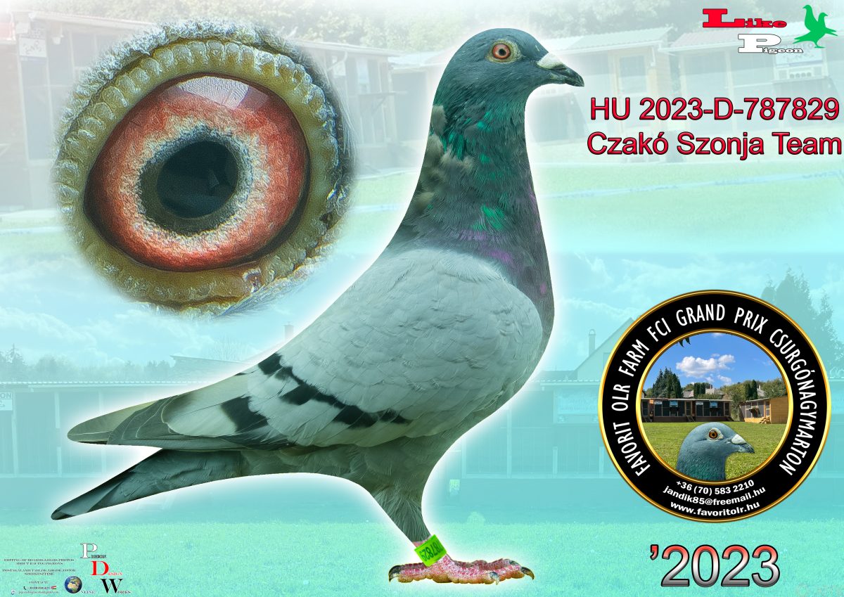 Czakó Szonja Team HU-2023-D-787829