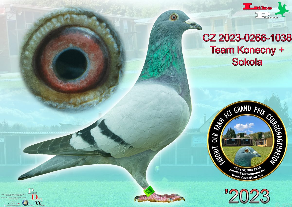 Team Konecny + Sokola CZ-2023-0266-1038