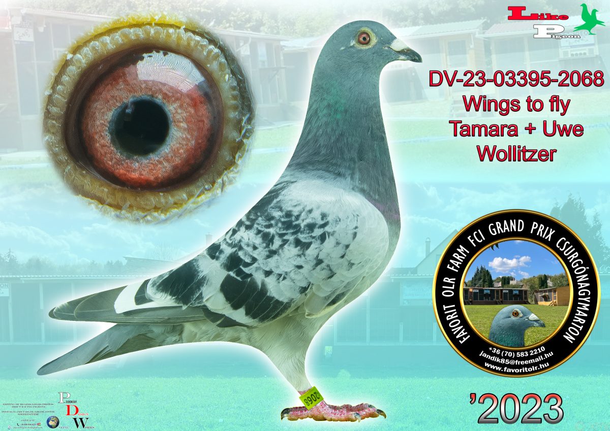 Wings to fly Tamara + Uwe Wollitzer DV-2023-03395-2068