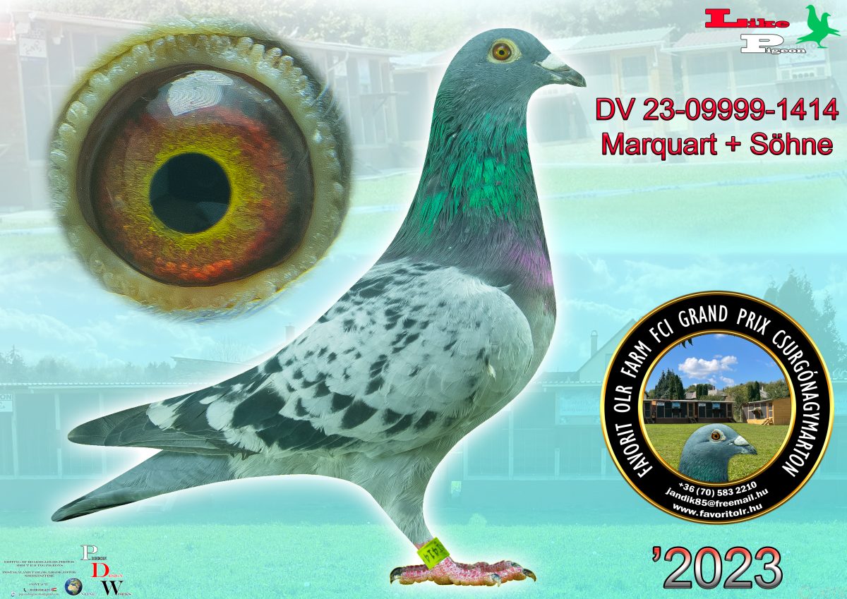 Marquart + Söhne DV-23-09999-1414