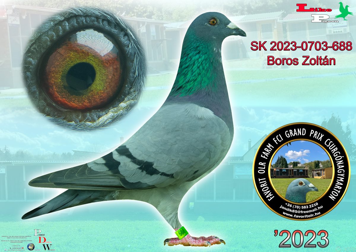 Boros Zoltán SK-2023-0703-688