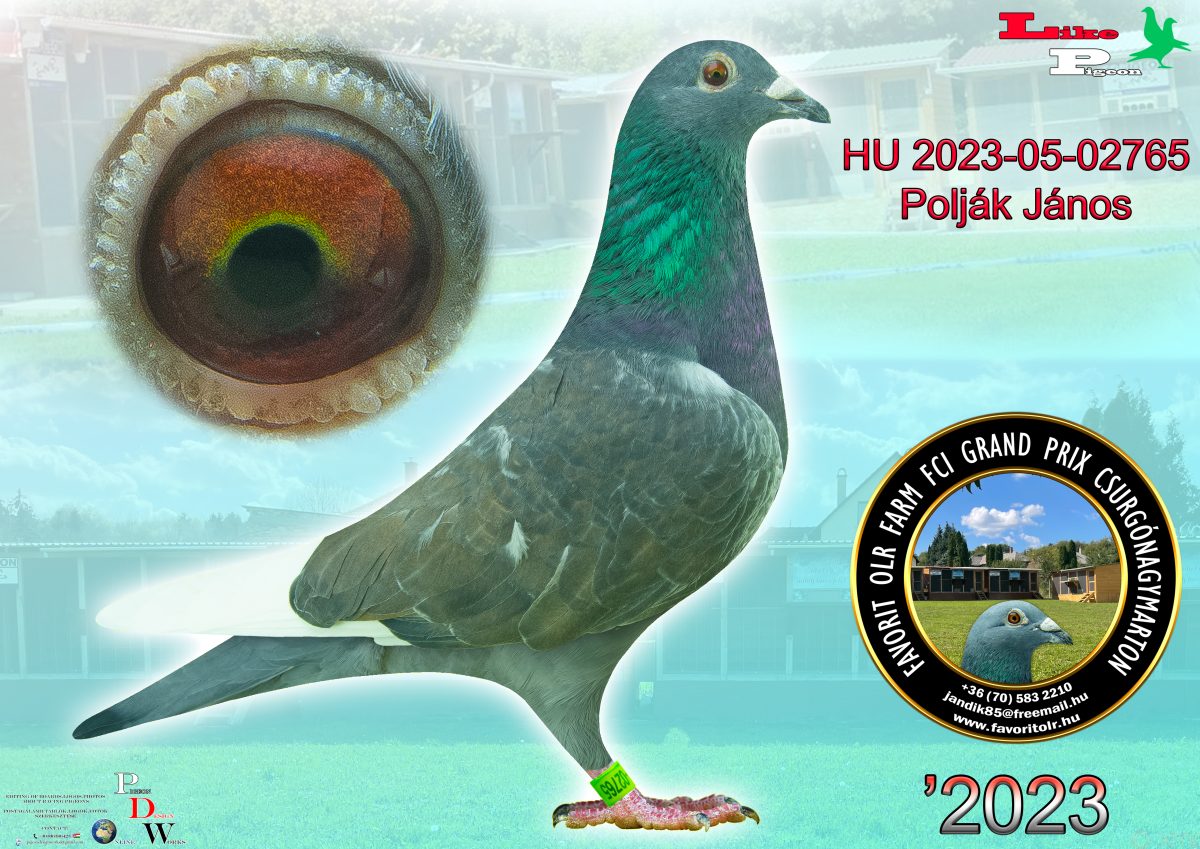 Polják János HU-2023-05-02765