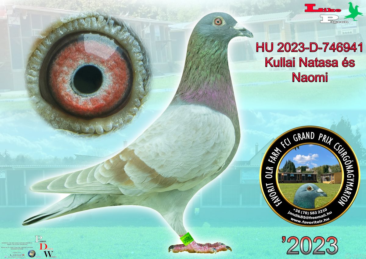 Kullai Natasa és Naomi HU-2023-D-746941
