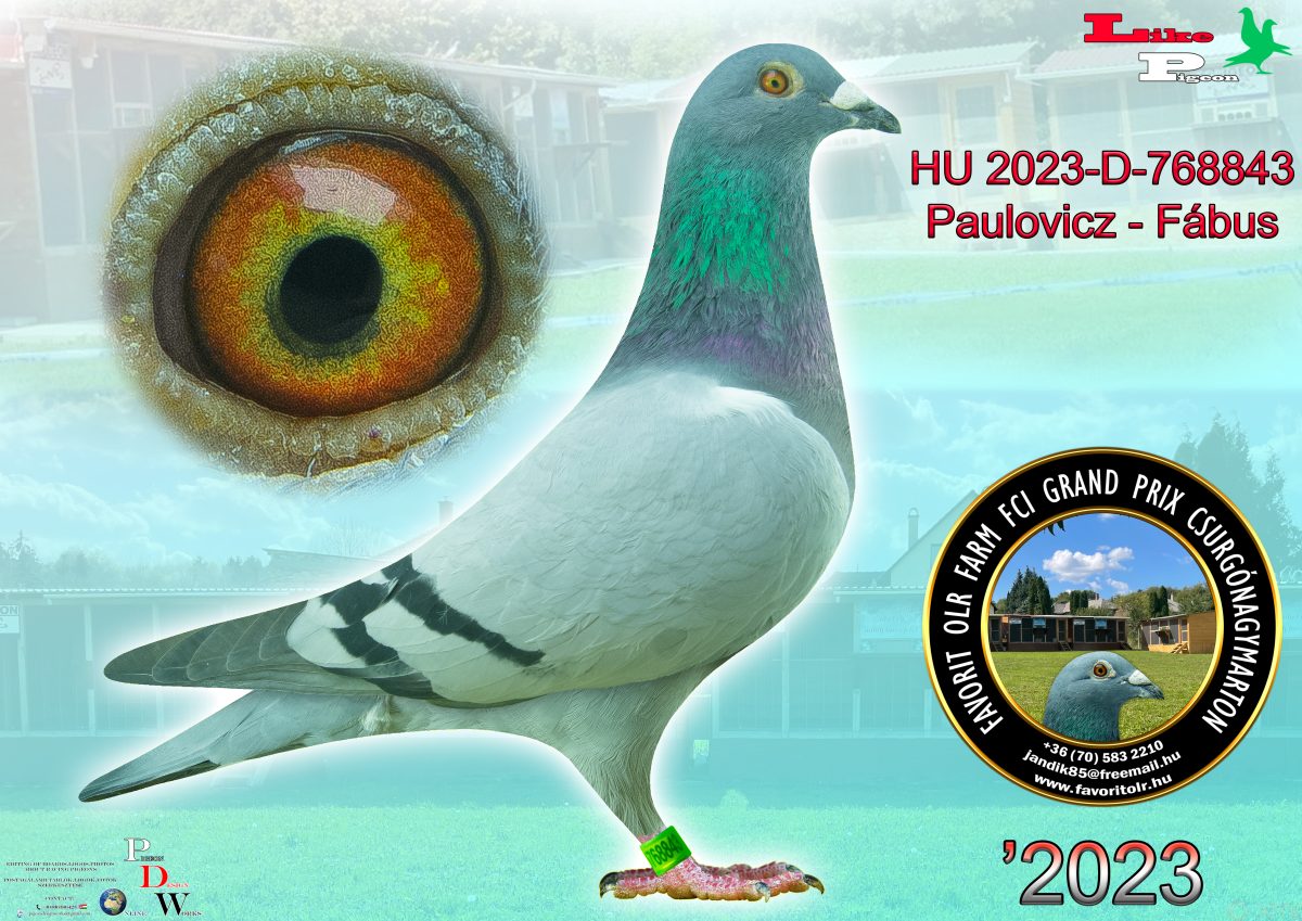 Paulovicz - Fábus 		HU-2023-D-768843