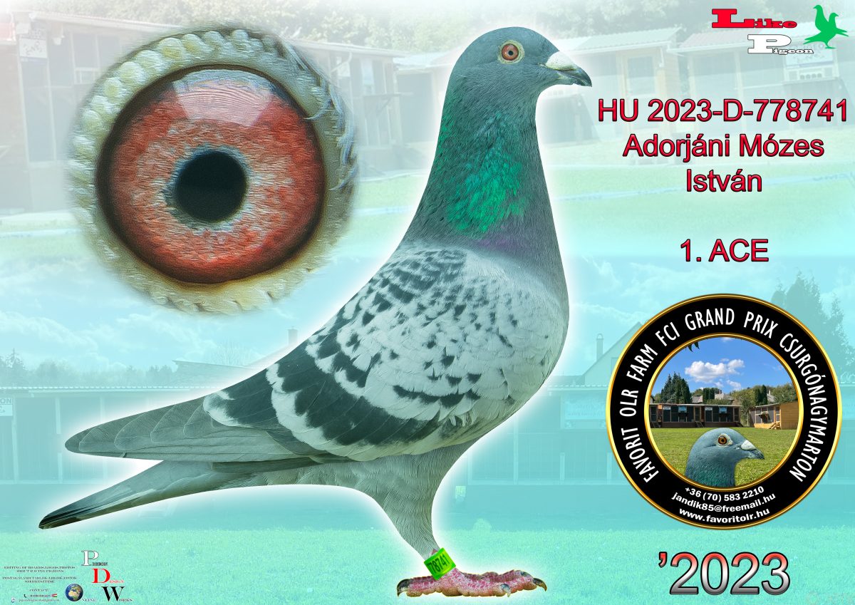 Adorjáni Mózes István HU-2023-778741  1.ACE