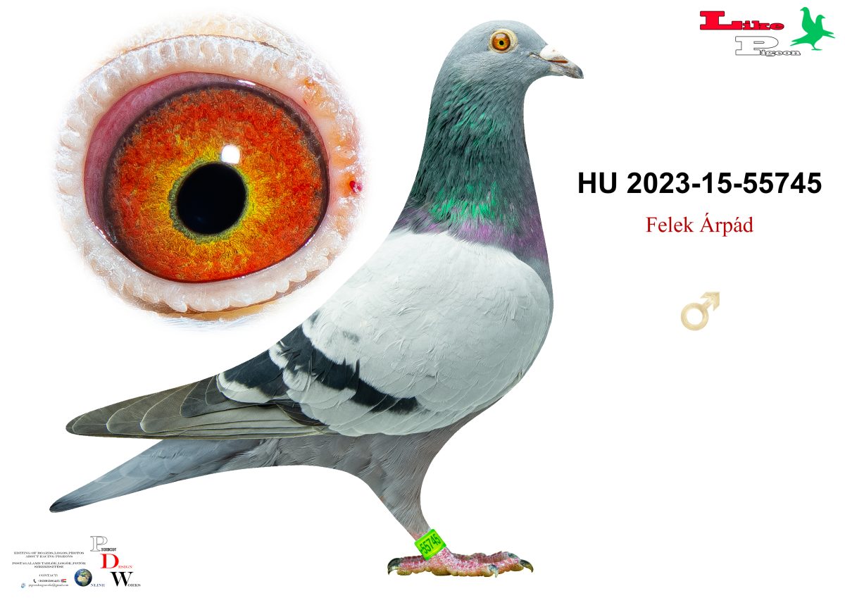 HU-2023-15-55745