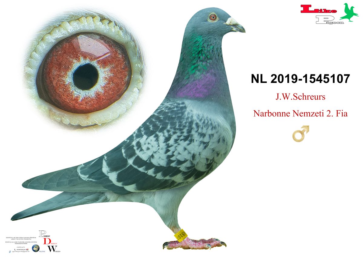 NL-2019-1545107