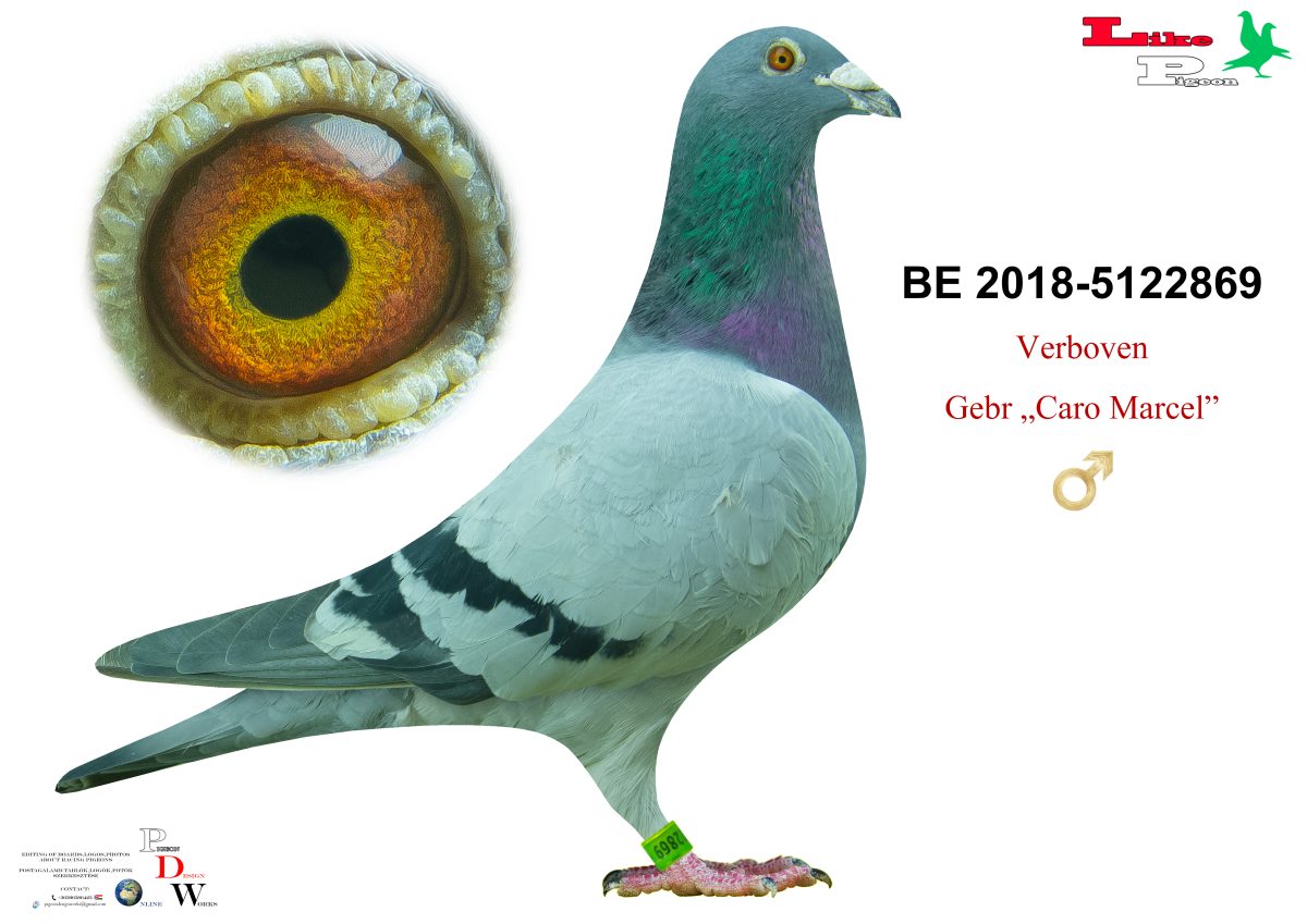 BE-2018-5122869