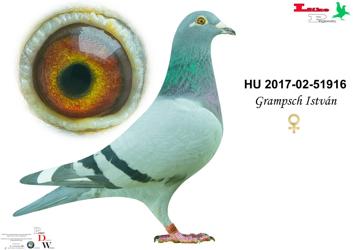 HU-2017-02-51916