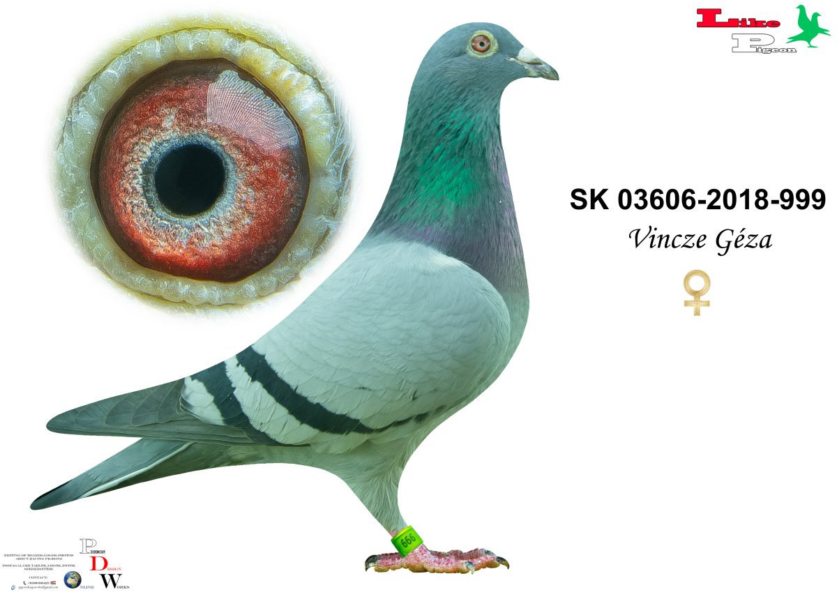 SK-2018-03606-999