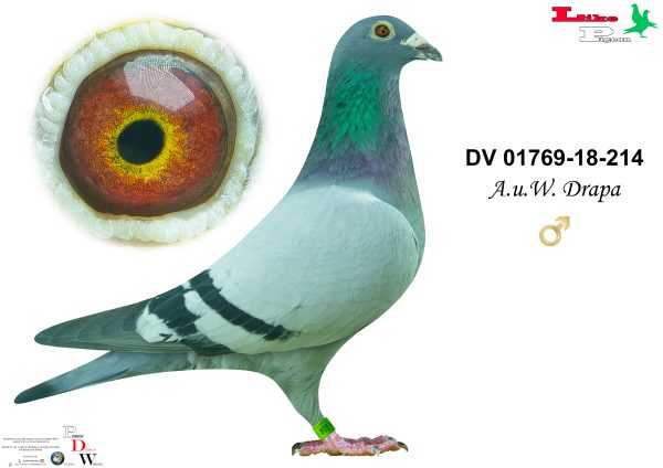 DV-2018-01769-214