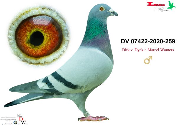 DV-07422-2020-259 Andik János Aukció