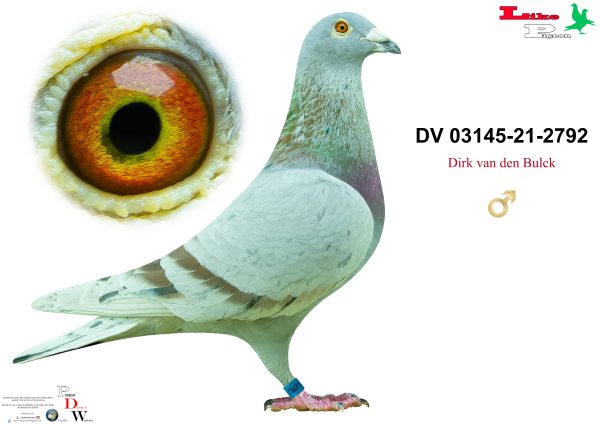 DV-03145-2021-2792 Andik János Aukció