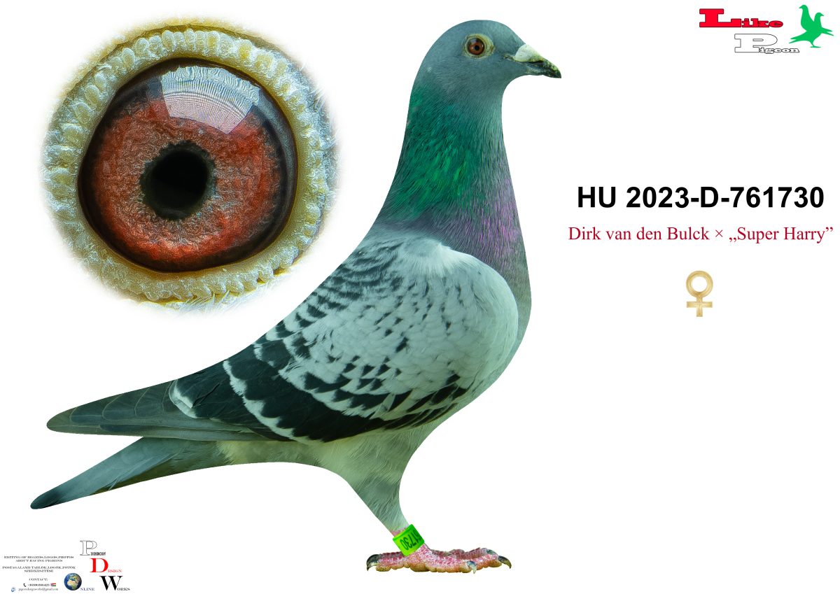 HU-2023-D-761730 Andik János Aukció