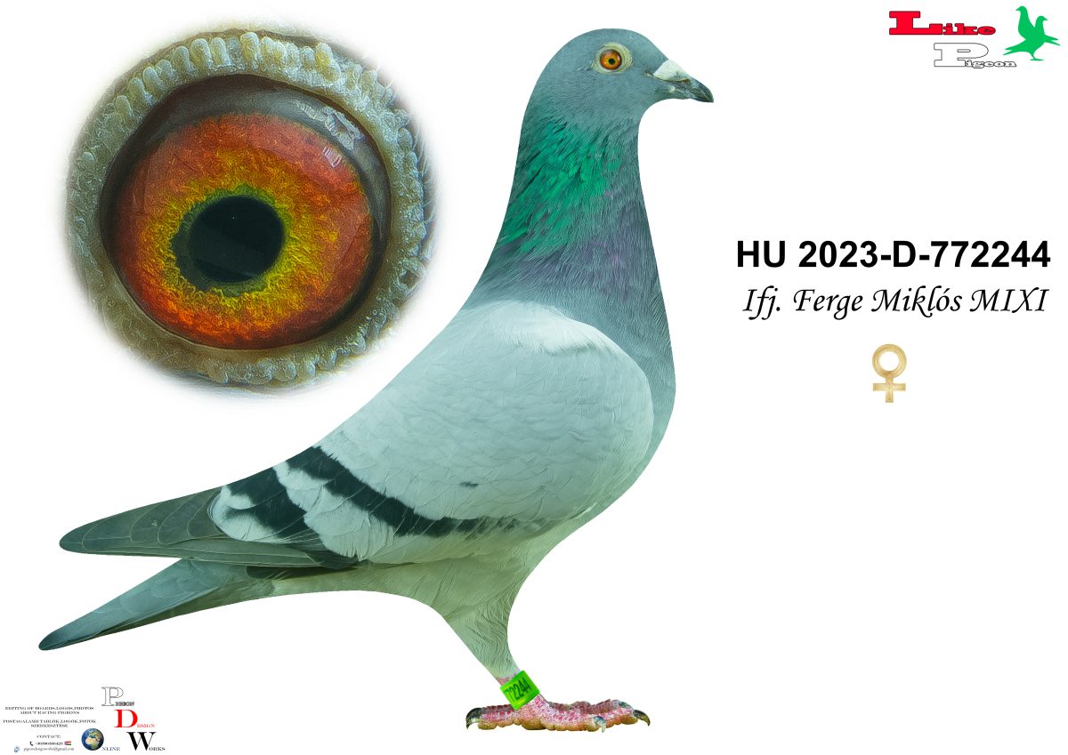 HU-2023-D-772244 Ifj. Ferge Miklós MIXI