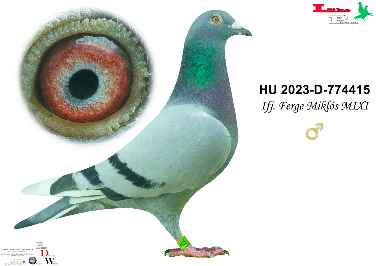 HU-2023-D-774415 Ifj. Ferge Miklós MIXI