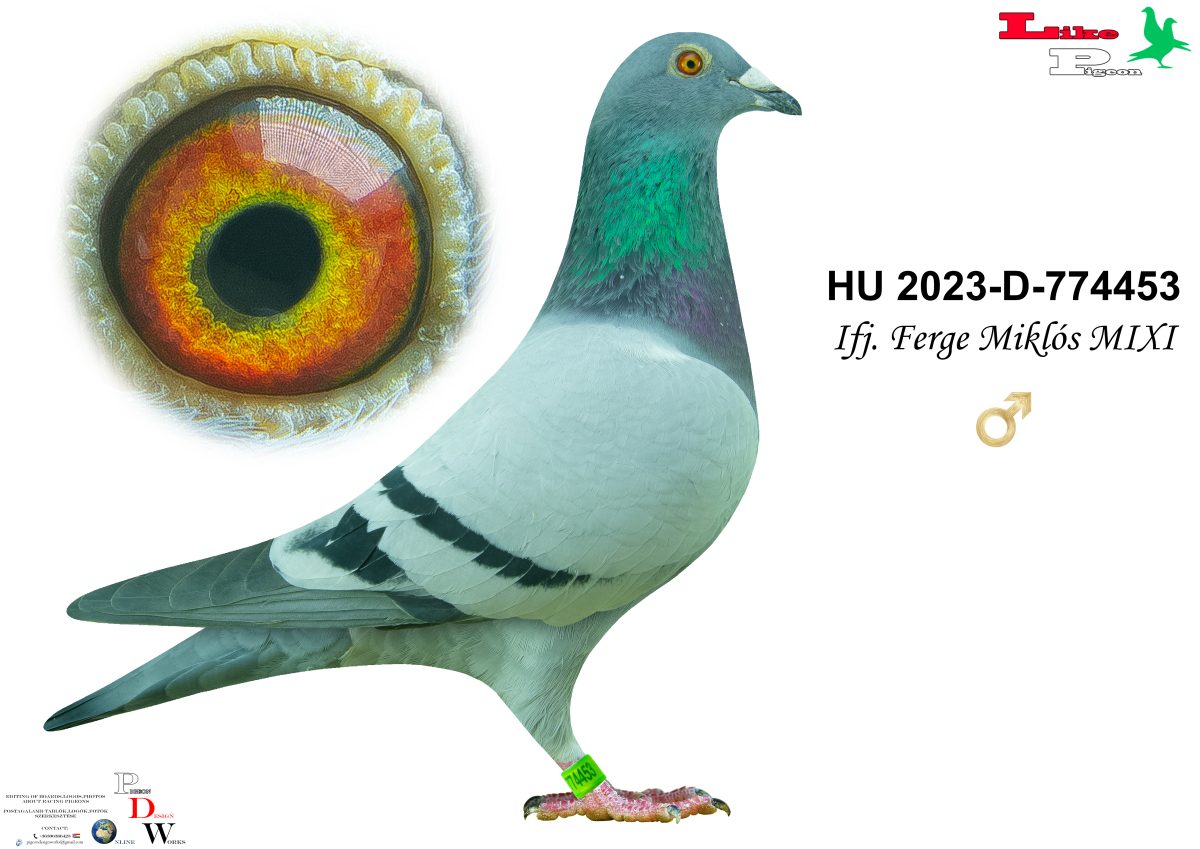 HU-2023-D-774453 Ifj. Ferge Miklós MIXI
