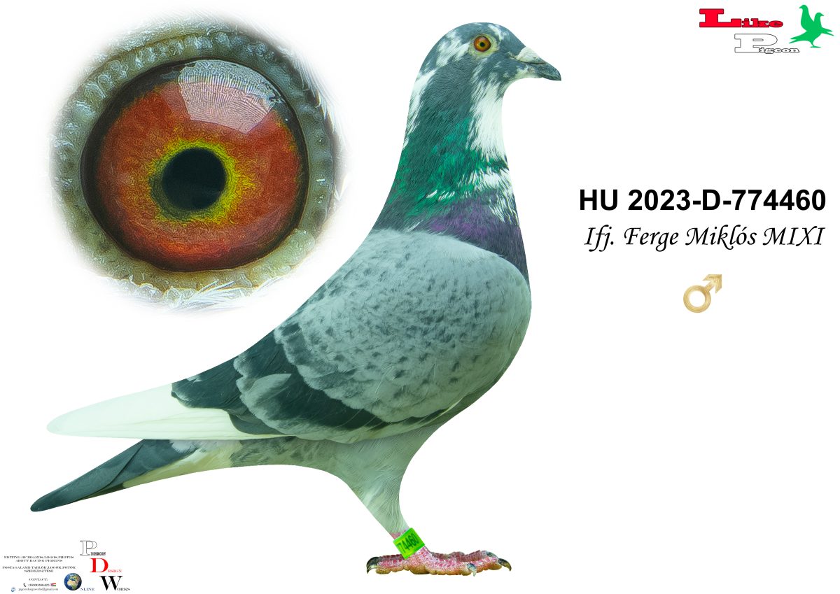 HU-2023-D-774460 Ifj. Ferge Miklós MIXI
