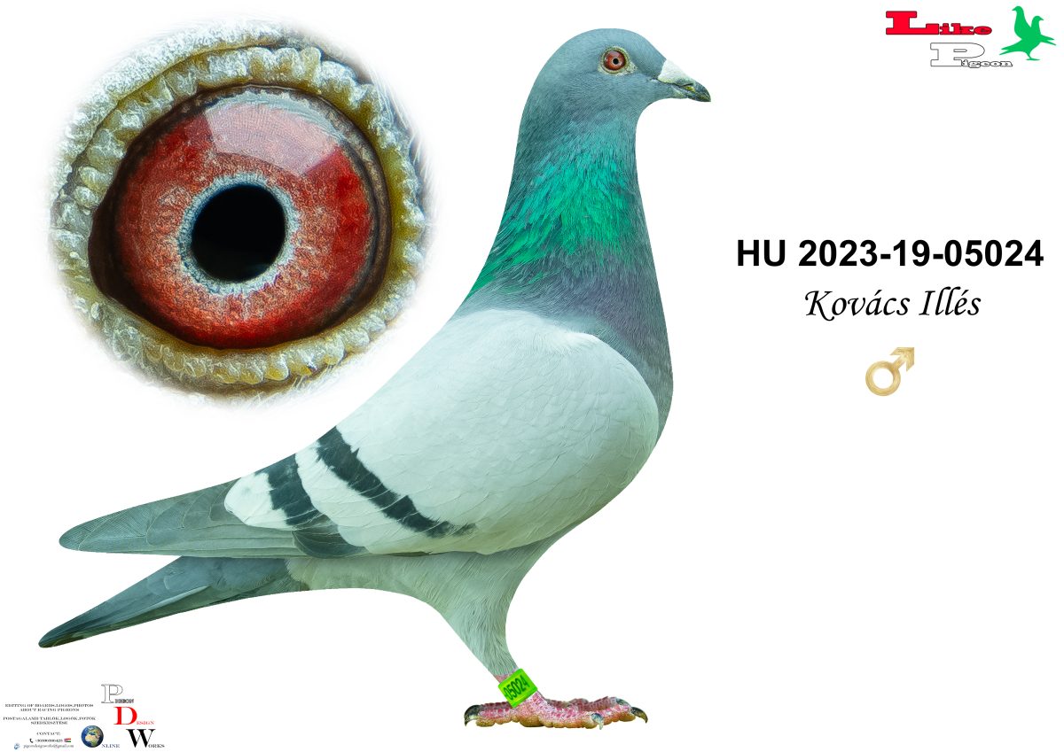 HU-2023-19-05024 Kovács Illés