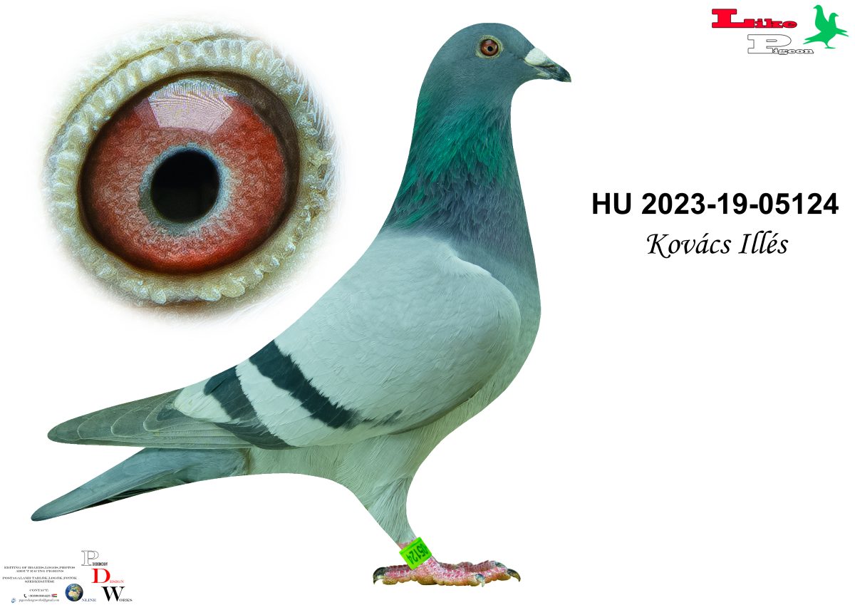 HU-2023-19-05124 Kovács Illés