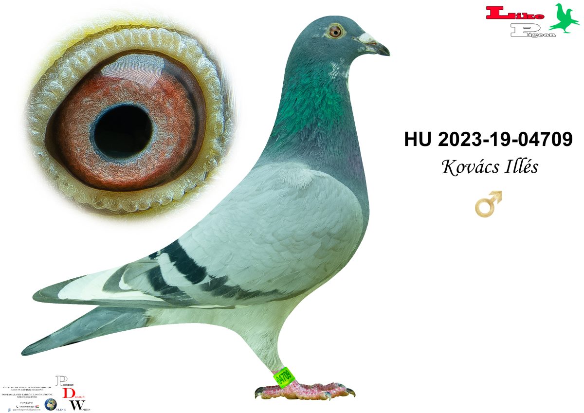 HU-2023-19-04709 Kovács Illés
